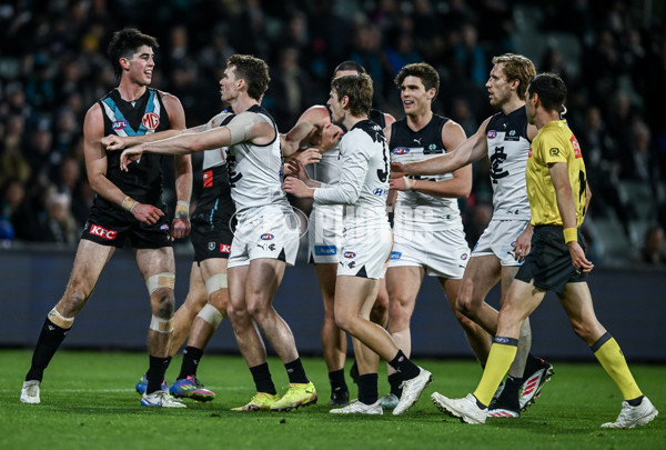 AFL 2025 Round 16 - Port Adelaide v Carlton - A-60219439