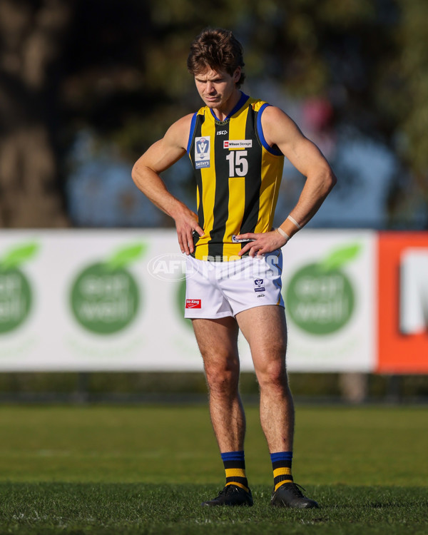 VFL 2025 Round 14 - Williamstown v Sandringham - A-60249025