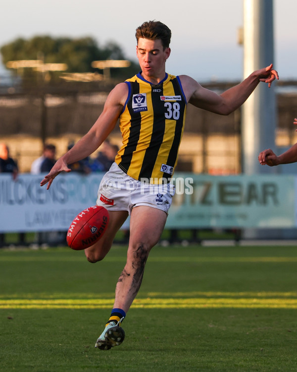 VFL 2025 Round 14 - Williamstown v Sandringham - A-60251018