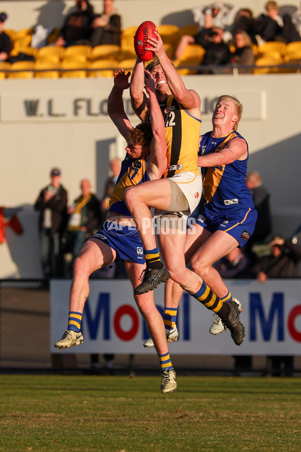 VFL 2025 Round 14 - Williamstown v Sandringham - A-60251735