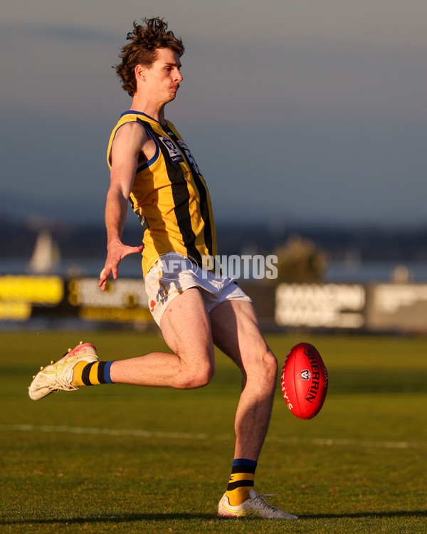 VFL 2025 Round 14 - Williamstown v Sandringham - A-60251751