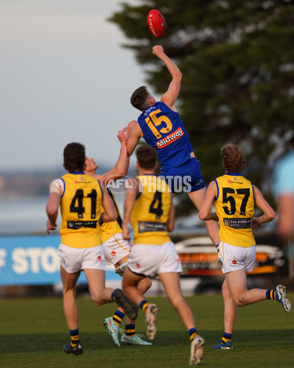 VFL 2025 Round 14 - Williamstown v Sandringham - A-60253504