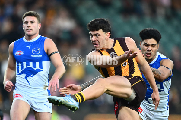 AFL 2025 Round 16 - Hawthorn v North Melbourne - A-60253555