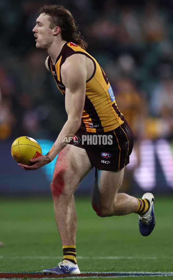 AFL 2025 Round 16 - Hawthorn v North Melbourne - A-60257029