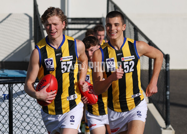VFL 2025 Round 14 - Williamstown v Sandringham - A-60259577