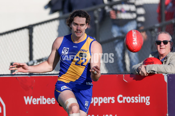 VFL 2025 Round 14 - Williamstown v Sandringham - A-60264532