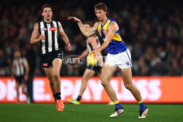 AFL 2025 Round 16 - Collingwood v West Coast - A-60264589