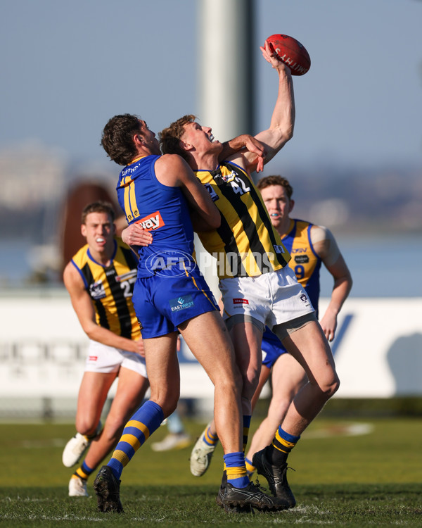 VFL 2025 Round 14 - Williamstown v Sandringham - A-60264629