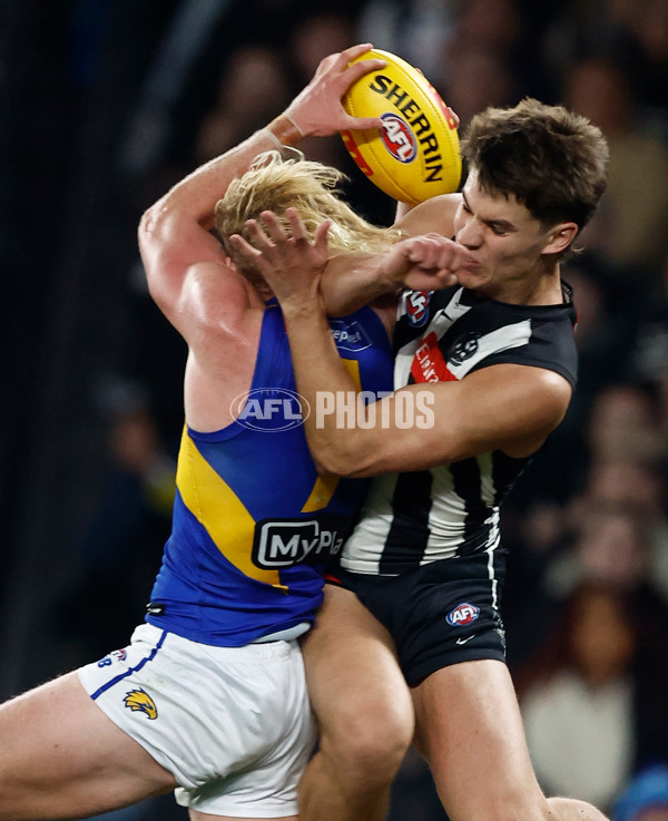 AFL 2025 Round 16 - Collingwood v West Coast - A-60264664