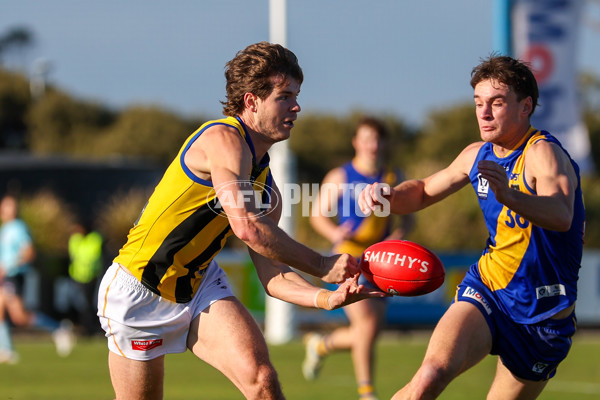 VFL 2025 Round 14 - Williamstown v Sandringham - A-60267037