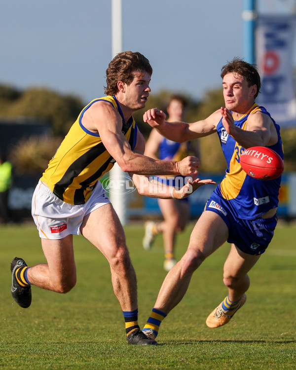 VFL 2025 Round 14 - Williamstown v Sandringham - A-60267040