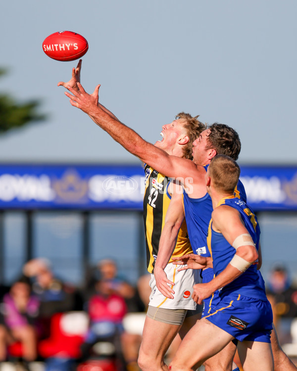 VFL 2025 Round 14 - Williamstown v Sandringham - A-60267067