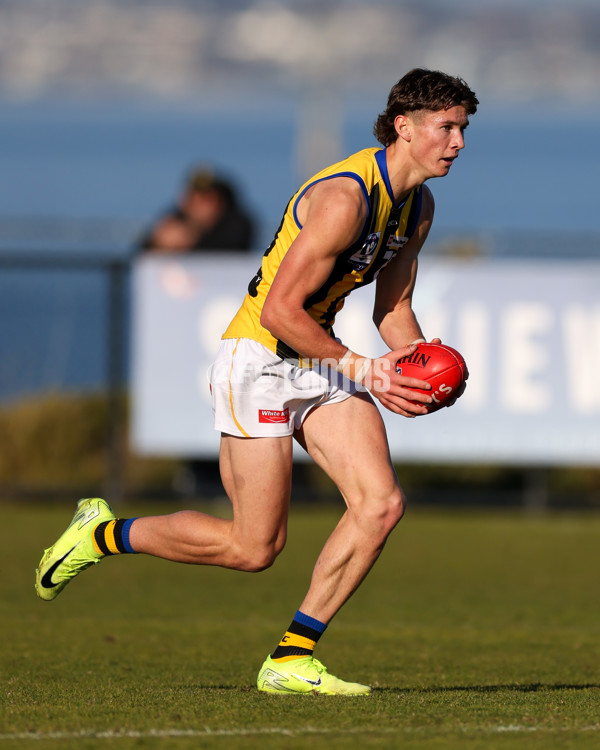 VFL 2025 Round 14 - Williamstown v Sandringham - A-60267069