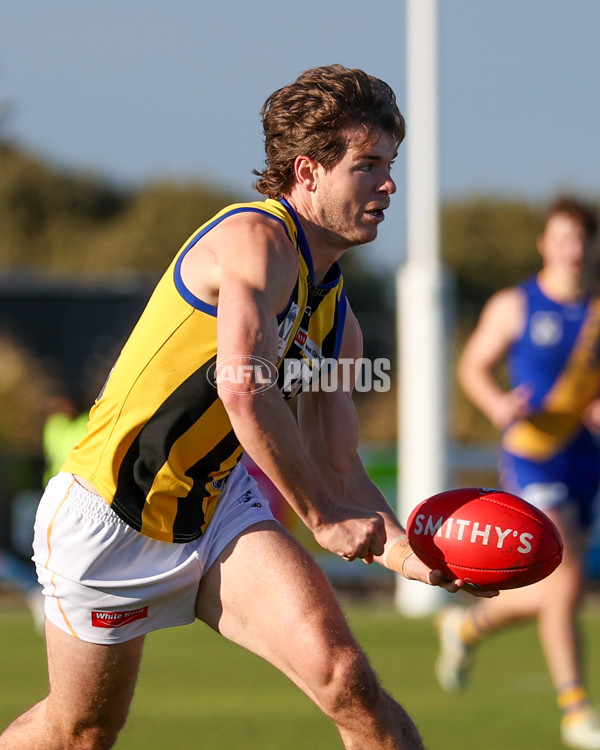 VFL 2025 Round 14 - Williamstown v Sandringham - A-60267517