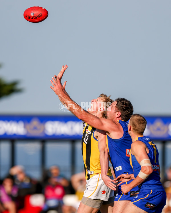 VFL 2025 Round 14 - Williamstown v Sandringham - A-60267551