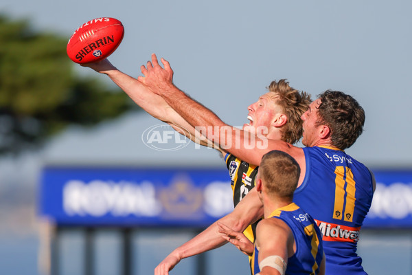 VFL 2025 Round 14 - Williamstown v Sandringham - A-60267553