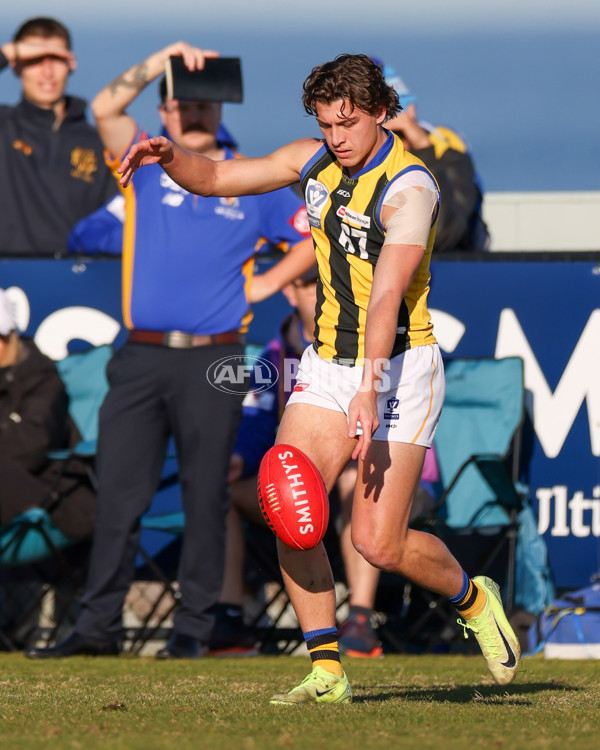 VFL 2025 Round 14 - Williamstown v Sandringham - A-60269436