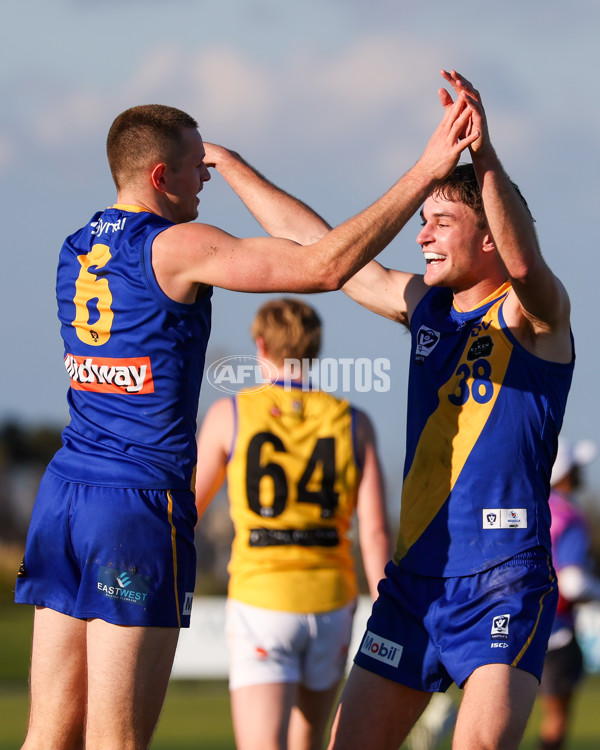 VFL 2025 Round 14 - Williamstown v Sandringham - A-60269521