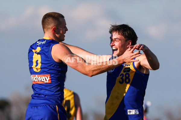 VFL 2025 Round 14 - Williamstown v Sandringham - A-60269524