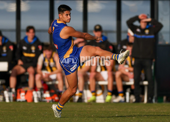 VFL 2025 Round 14 - Williamstown v Sandringham - A-60272311