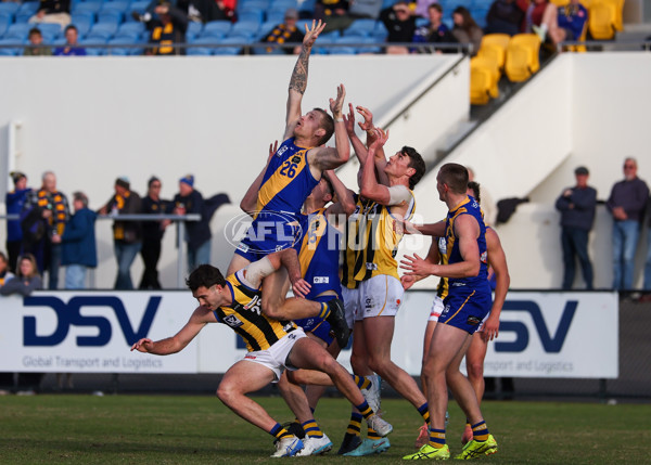 VFL 2025 Round 14 - Williamstown v Sandringham - A-60272331