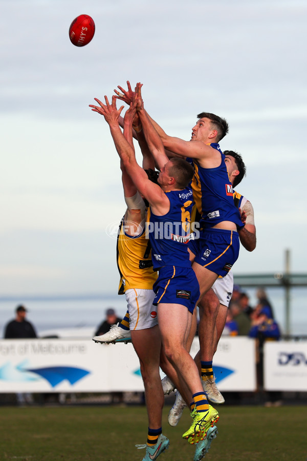 VFL 2025 Round 14 - Williamstown v Sandringham - A-60272332