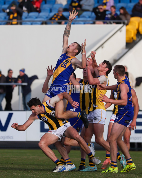 VFL 2025 Round 14 - Williamstown v Sandringham - A-60272334