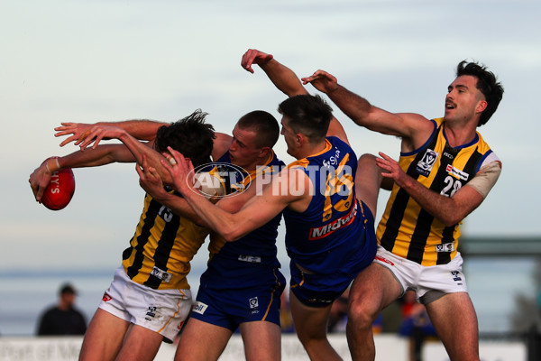 VFL 2025 Round 14 - Williamstown v Sandringham - A-60272335
