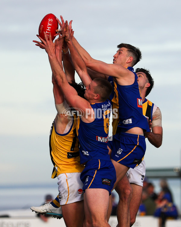 VFL 2025 Round 14 - Williamstown v Sandringham - A-60272337