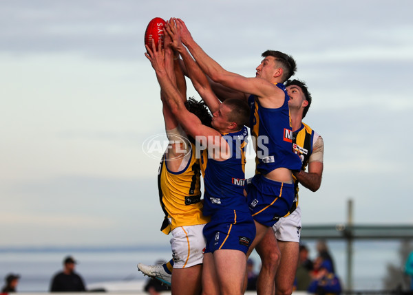 VFL 2025 Round 14 - Williamstown v Sandringham - A-60272339