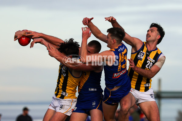 VFL 2025 Round 14 - Williamstown v Sandringham - A-60272341