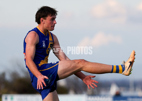 VFL 2025 Round 14 - Williamstown v Sandringham - A-60272343