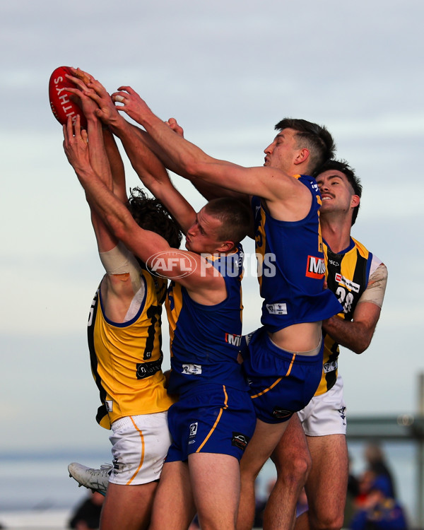 VFL 2025 Round 14 - Williamstown v Sandringham - A-60272344