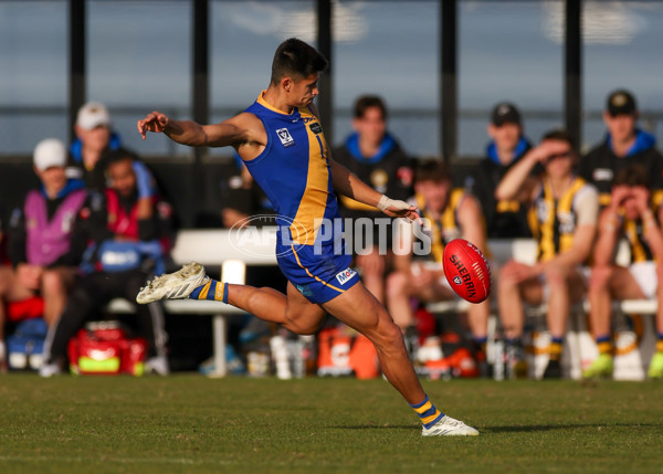 VFL 2025 Round 14 - Williamstown v Sandringham - A-60273075