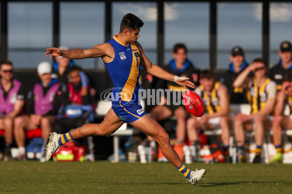 VFL 2025 Round 14 - Williamstown v Sandringham - A-60273082