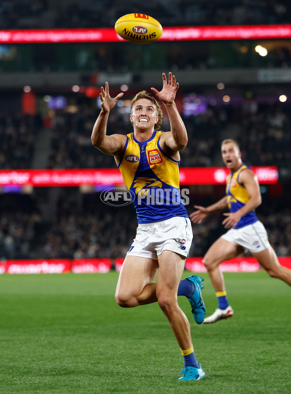 AFL 2025 Round 16 - Collingwood v West Coast - A-60273120