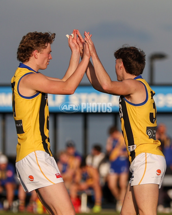 VFL 2025 Round 14 - Williamstown v Sandringham - A-60273162