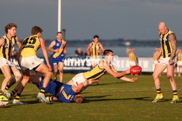 VFL 2025 Round 14 - Williamstown v Sandringham - A-60274613