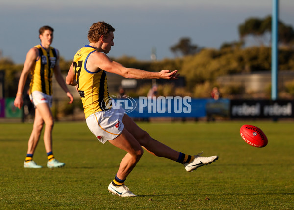 VFL 2025 Round 14 - Williamstown v Sandringham - A-60274614