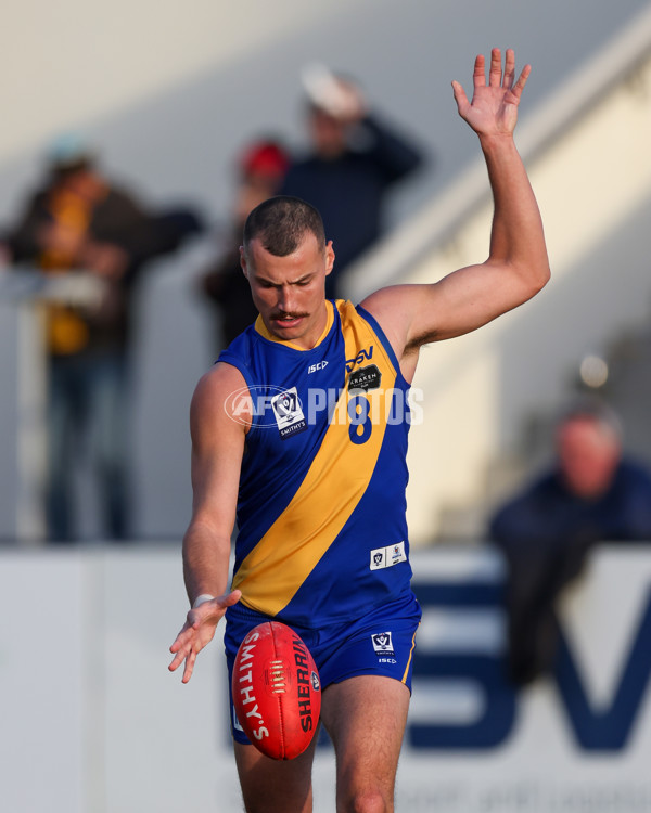 VFL 2025 Round 14 - Williamstown v Sandringham - A-60274615