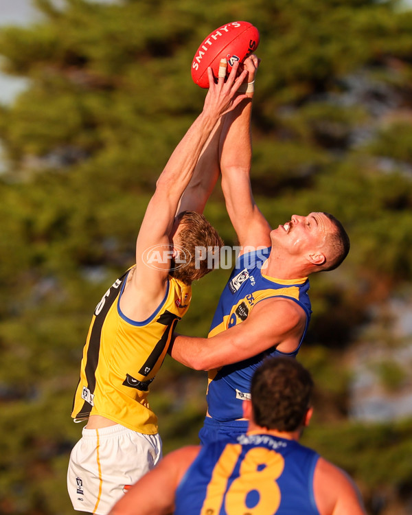 VFL 2025 Round 14 - Williamstown v Sandringham - A-60274617
