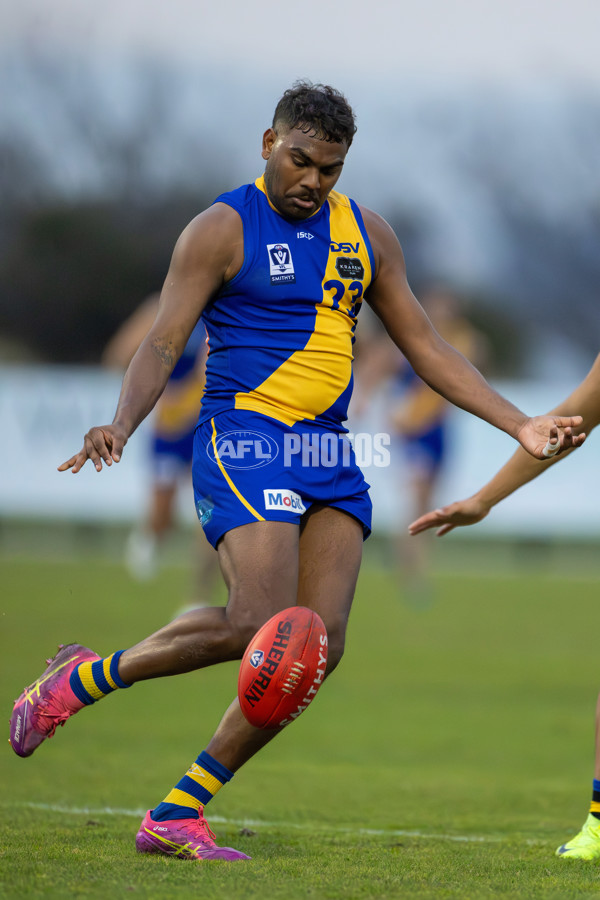 VFL 2025 Round 14 - Williamstown v Sandringham - A-60274641