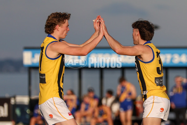 VFL 2025 Round 14 - Williamstown v Sandringham - A-60275490