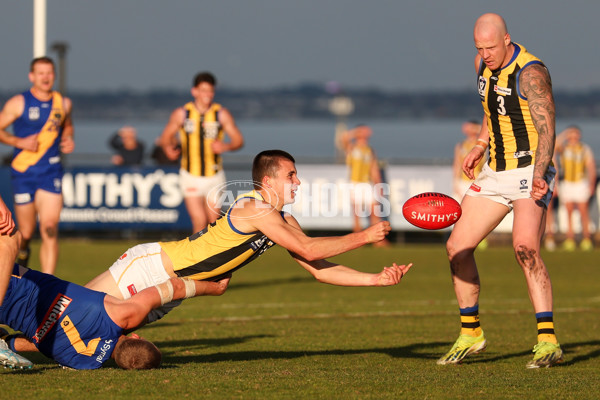 VFL 2025 Round 14 - Williamstown v Sandringham - A-60275508