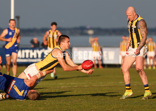 VFL 2025 Round 14 - Williamstown v Sandringham - A-60275509