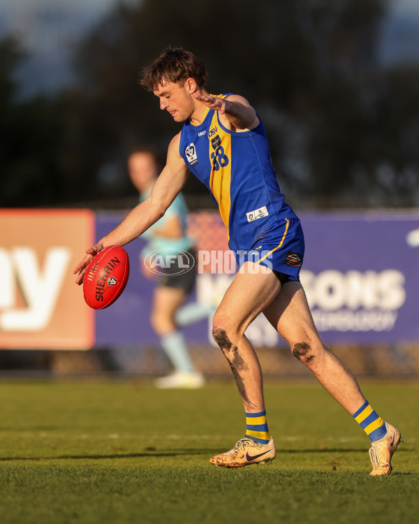 VFL 2025 Round 14 - Williamstown v Sandringham - A-60275512