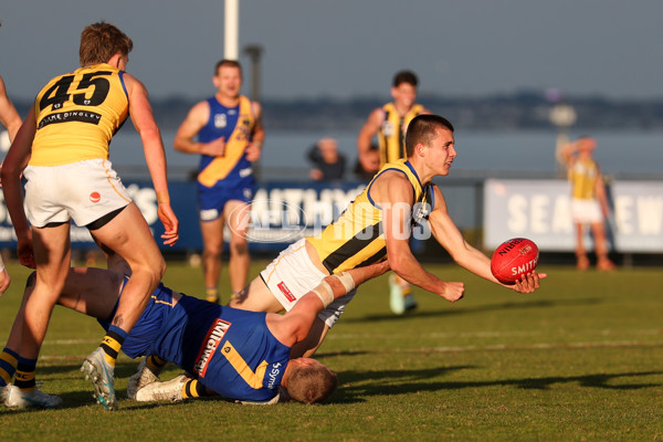VFL 2025 Round 14 - Williamstown v Sandringham - A-60275515