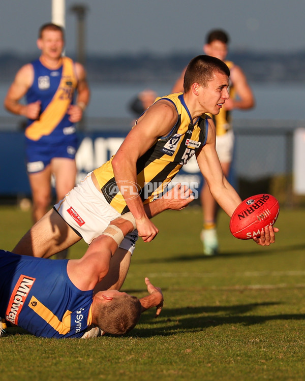 VFL 2025 Round 14 - Williamstown v Sandringham - A-60275518