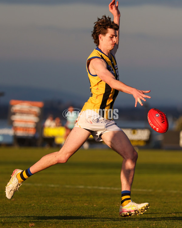 VFL 2025 Round 14 - Williamstown v Sandringham - A-60275533