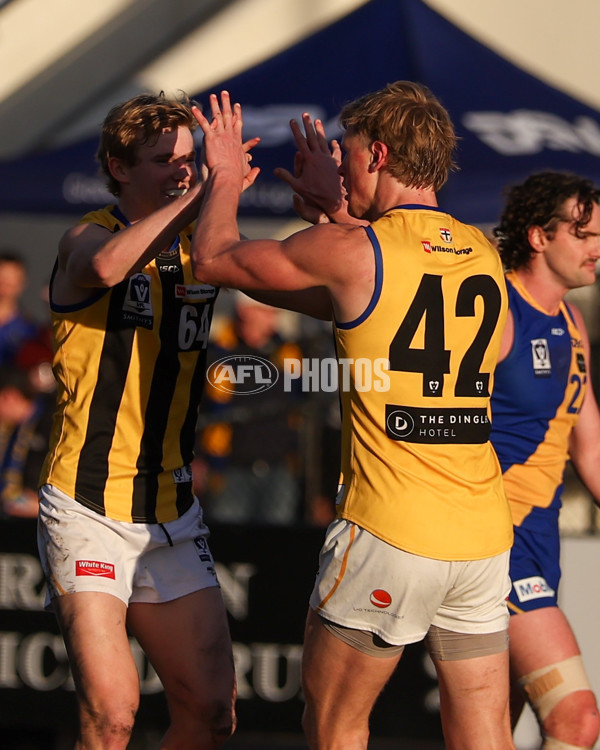 VFL 2025 Round 14 - Williamstown v Sandringham - A-60275534